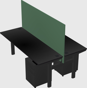 Shared electric desk