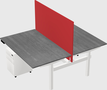 Shared electric desk