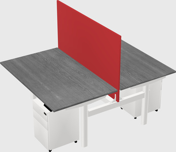Shared electric desk