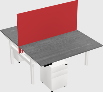 Shared electric desk