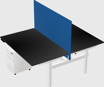 Shared electric desk