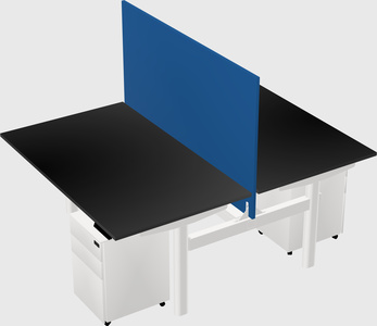 Shared electric desk