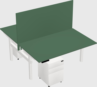 Shared electric desk