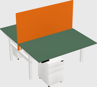 Shared electric desk