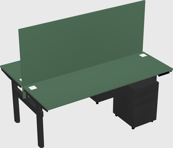 Shared electric desk
