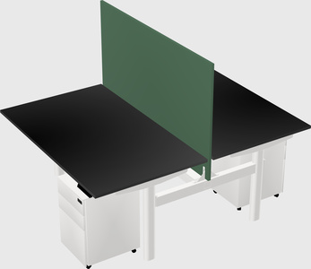 Shared electric desk