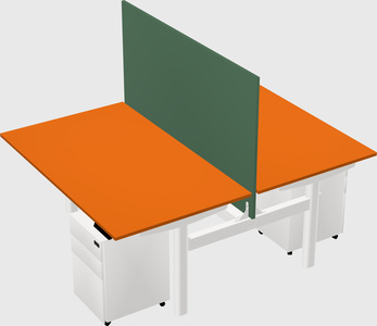 Shared electric desk