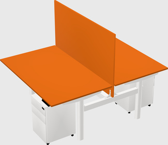 Shared electric desk