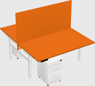 Shared electric desk