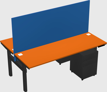 Shared electric desk