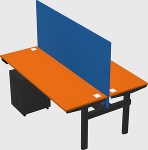 Shared electric desk