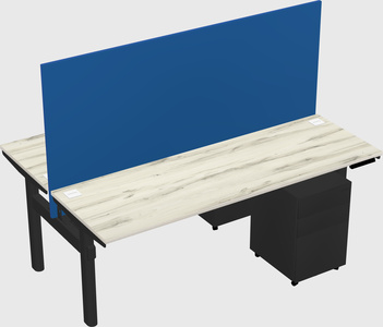 Shared electric desk