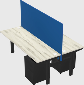 Shared electric desk