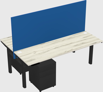 Shared electric desk