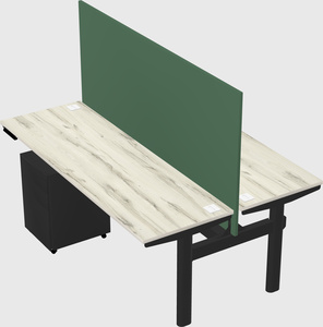 Shared electric desk