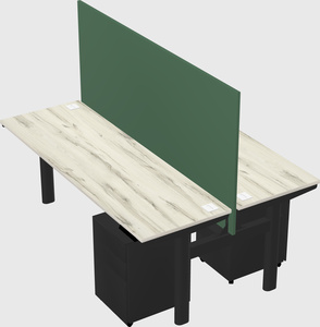 Shared electric desk