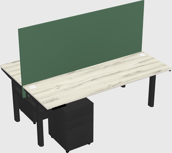 Shared electric desk