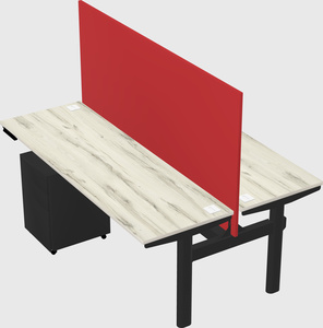 Shared electric desk