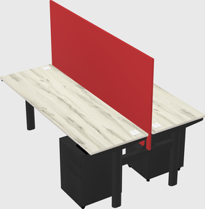Shared electric desk
