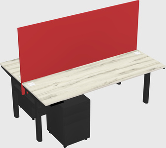 Shared electric desk