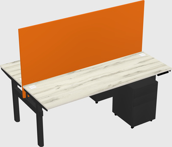 Shared electric desk