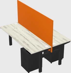 Shared electric desk