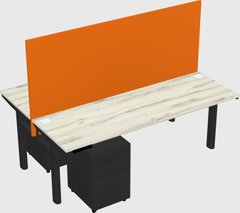 Shared electric desk