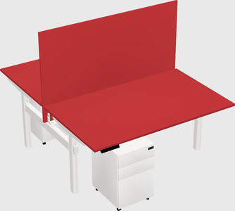 Shared electric desk