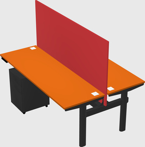 Shared electric desk