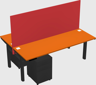 Shared electric desk