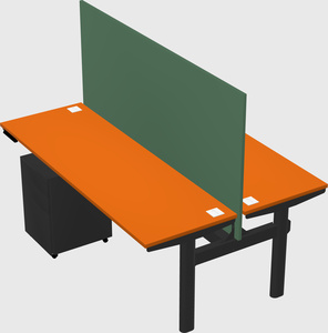 Shared electric desk
