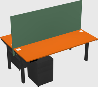 Shared electric desk