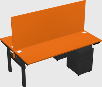 Shared electric desk