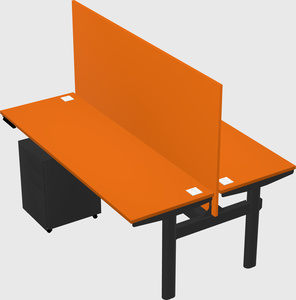 Shared electric desk