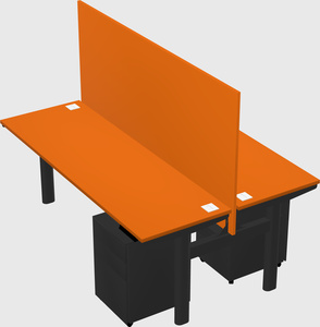 Shared electric desk