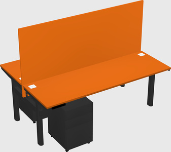 Shared electric desk