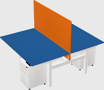 Shared electric desk