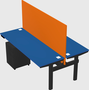 Shared electric desk