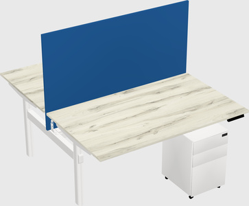 Shared electric desk