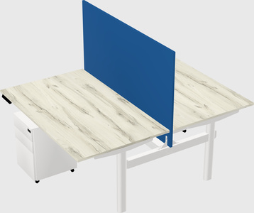 Shared electric desk