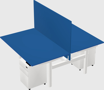 Shared electric desk