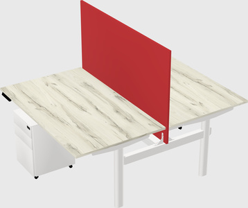 Shared electric desk