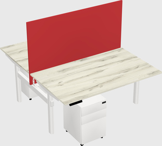 Shared electric desk
