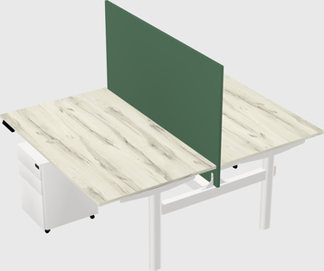 Shared electric desk