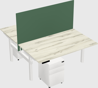 Shared electric desk