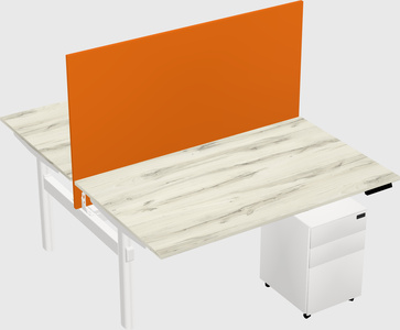Shared electric desk