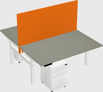 Shared electric desk