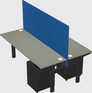 Shared electric desk