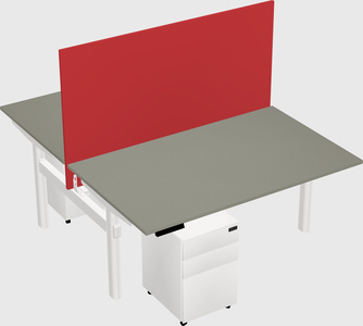 Shared electric desk