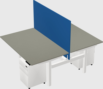 Shared electric desk